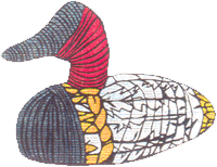 Nevada Tulle Duck