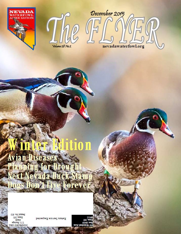 Publications Nevada Waterfowl