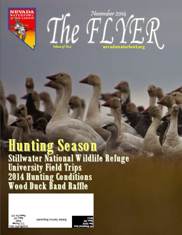 Nov 2014 Publication